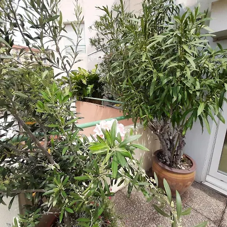 Appartamento Joli