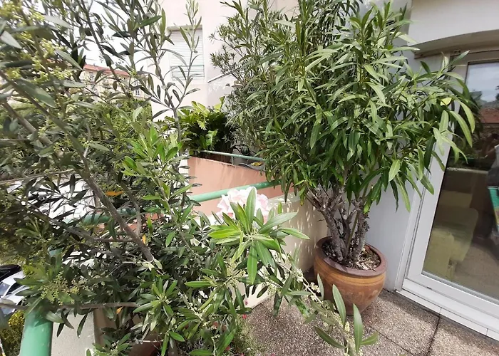 Apartment Joli